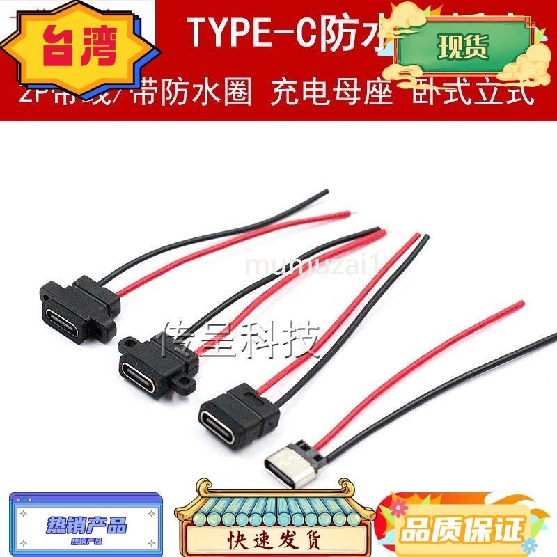 台灣熱銷 TYPE-C 2P防水母座帶引線 焊線式USB帶固定螺絲孔雙面充電插座