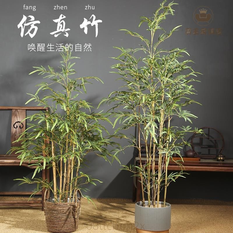 【限時下殺】仿真植物 中式仿真竹子盆栽植物室內客廳大型裝飾擺件假樹塑料綠植造景