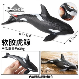 💎臺灣模玩💎兒童仿真認知海洋動物模型海豚鯊魚抹香鯨錘頭鯊虎鯨藍鯨解壓玩具