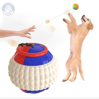 【波比小寵】狗狗玩具 多功能寵物投擲球 寵物玩具球 自動伸縮球 環形伸縮拉繩球 磨牙球 拋擲玩具 寵物用品