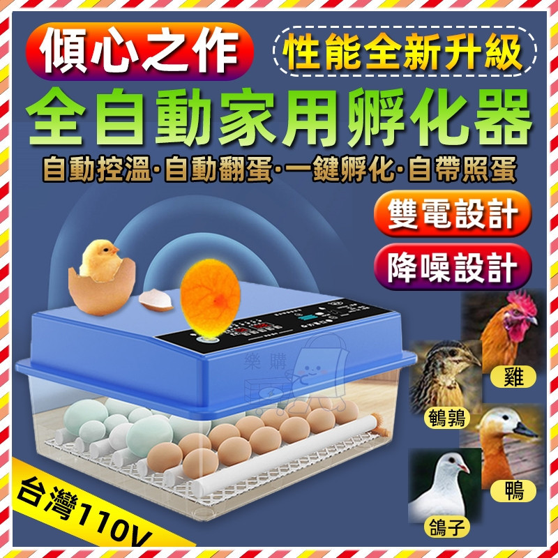 【KK家】孵化器 孵蛋機 蘆丁雞小型孵化機 智慧控溫箱 小雞孵化機 110V全自動加水定時翻蛋智能水床孵蛋器 保溫箱
