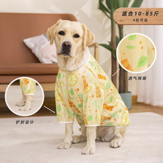 夏季 網眼 透氣 中 大型 犬 金毛 拉布拉多 柴犬 透氣 狗狗 衣服 服裝 清涼寵物服 透氣狗衣