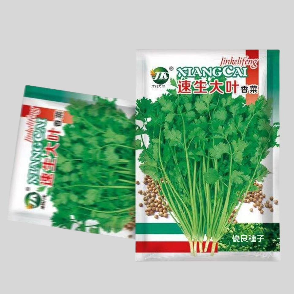 🔥買2送一🔥A03 香菜種子 速生大業香菜種子 一袋3g約300粒 蔬菜種子 原廠包裝 對版出貨 發芽率高95%