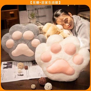至臻 貓爪抱枕被子 插手兩用 辦公室午睡 暖手枕頭 汽車抱枕毯子二合一 枕被子兩用 沙發靠枕 抱枕毯 創意睡毯