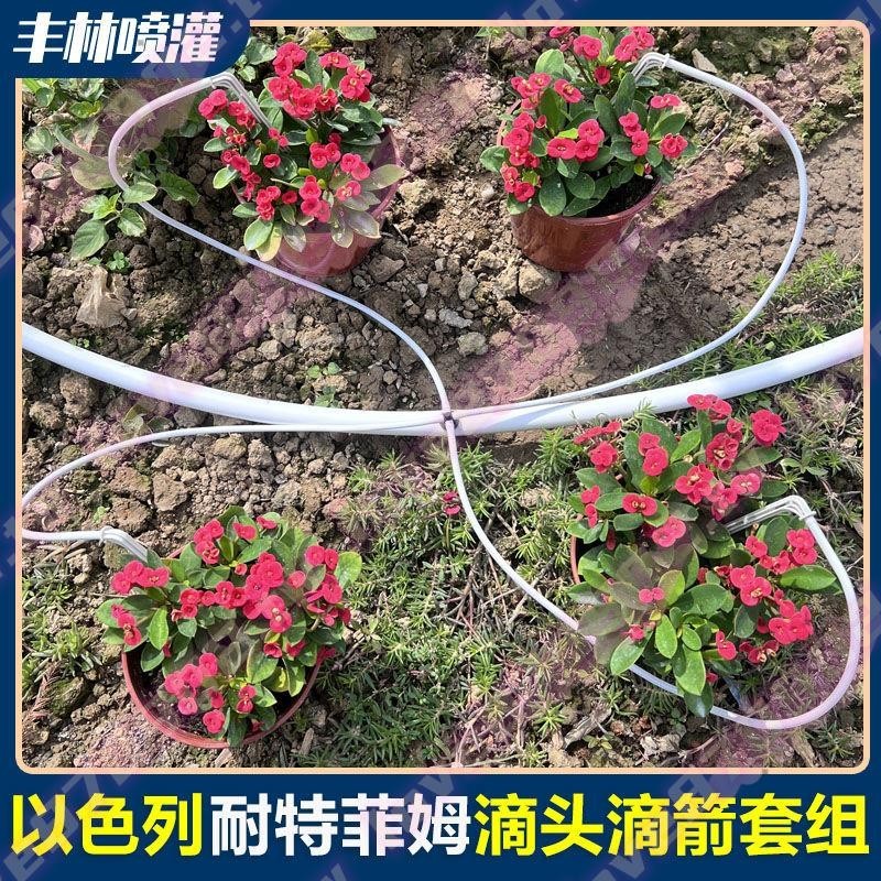 白色進口以色列藍莓專用滴箭套組盆栽滴灌設備陽臺自動滴水澆花器-5N