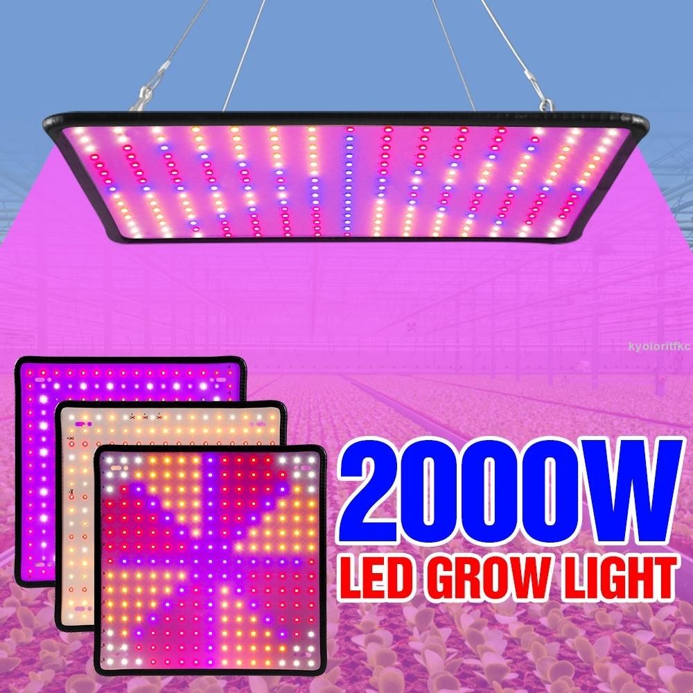 桃園出貨 2000W全光譜LED植物燈園藝110V植物補光燈多1000W量子板生長燈2000W溫室室內蔬菜花果種植燈15