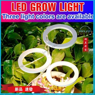 BYD🔨居家用品🔨LED天使環植物生長燈5V全光譜植物燈USB室內水培植物多肉補光燈園藝花卉幼苗盆栽種植燈溫室家用仿