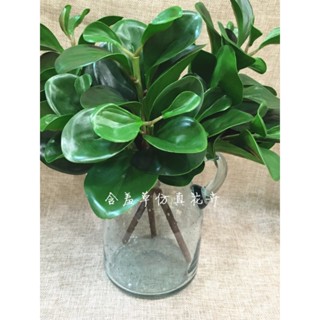 ▼JVW模擬綠植高檔手感青葉碧玉豆瓣綠植物捧花配材桌面盆栽裝飾搭配