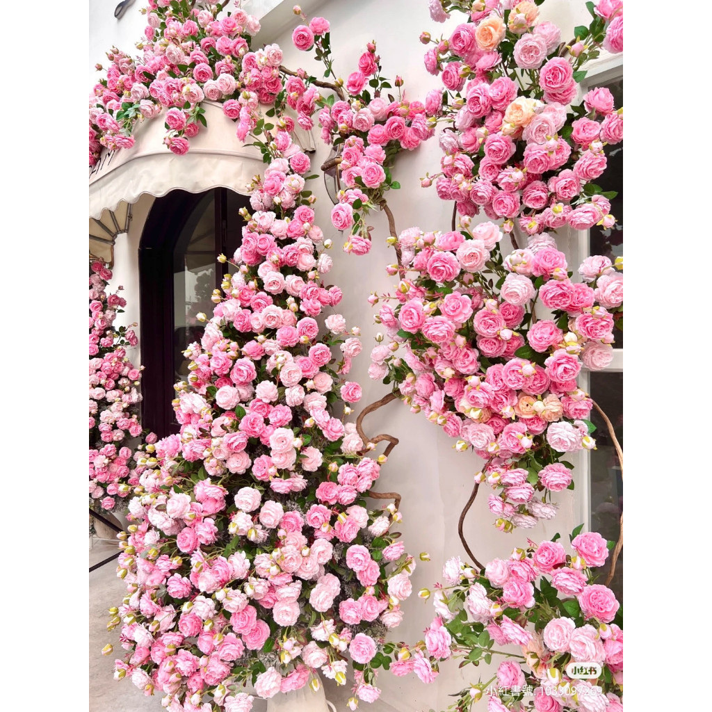 現貨 ✿爬藤玫瑰種子✿玫瑰種子 熱戀之花 藤本玫瑰 達芬奇陽台庭院新手易種 觀賞花卉種子 爬藤薔薇 薔薇種子 玫瑰瀑布