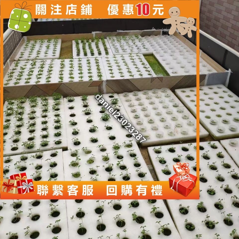 一見清新40孔水上種植漂浮板水培蔬菜定植板溫室無土栽培設備水耕種菜浮床