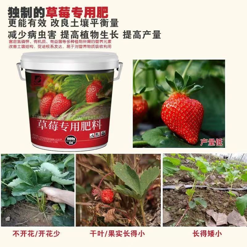 🔥【草莓專用肥🔥】正品質保 大容量草莓肥料·草莓有機肥 花卉綠植盆栽花苗通用復合肥顆粒緩釋肥 園藝用品