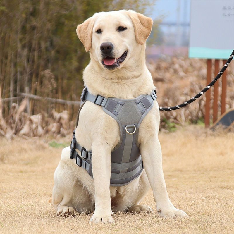 🐶狗狗胸背帶 狗狗背帶 狗狗牽繩 寵物胸背帶 新款戰術狗狗胸背帶背心式馬甲牽引繩大型犬遛狗繩拉佈拉多可調節