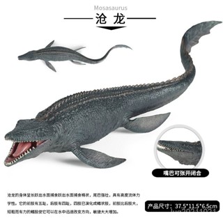 ✨甄選新品✨模擬恐龍模型玩具 塑膠大號滄龍滑齒龍過家家玩具 克柔龍海洋恐龍動物模型擺件 蒙特梭利教具 場YT1221