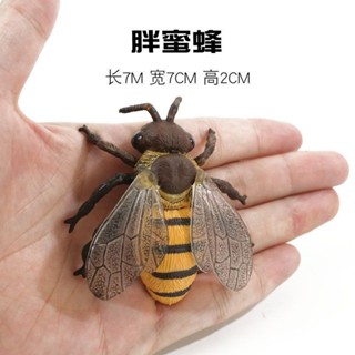 實心兒童模擬動物昆蟲玩具野生動物模型 蜜蜂模型成長週期教具