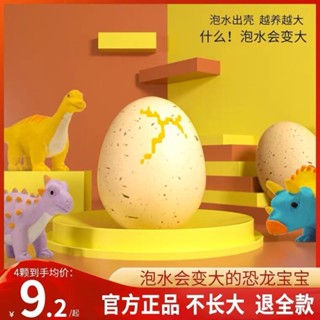 【Aimee熱賣款】恐龍蛋孵化蛋新奇特泡大膨脹變形模擬動物模型創意兒童泡水小玩具