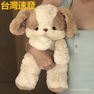 臺灣出貨 抱枕 狗狗抱枕 大抱枕公仔 生日禮物 玩偶公仔 毛絨玩具 動物抱枕 枕頭 交換禮物 布娃娃抱枕 可愛寶寶抱枕