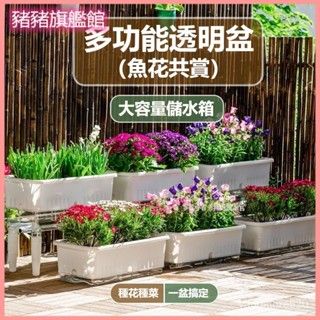 可開發票室內陽臺種菜專用盆長方形自吸水懶人種花種蔬菜箱草莓特大號塑膠 種植箱 種菜箱 陽臺種菜 菜盆 蔬菜箱 陸龜飼養箱