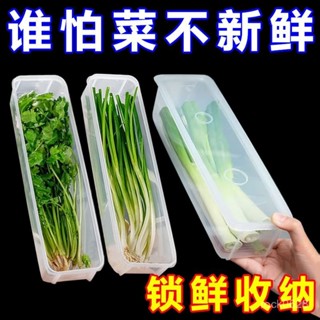 桃園快速🚚香菜小蔥收納盒冰箱芫荽整根保鮮神器加厚款麵條鷄蛋備菜保鮮密封