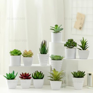 模擬盆栽多肉植物仿真植物仙人掌模擬擺件辦公桌面裝飾書桌擺件仿真花盆栽