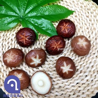 🎉優惠🎉模擬模擬香菇假蘑菇模型飯店酒店餐廳菜品搭配攝影兒童認知教玩具90