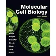 [華通書坊]Molecular Cell Biology (IE) 9/e Lodish/Macmillan 9781319365486