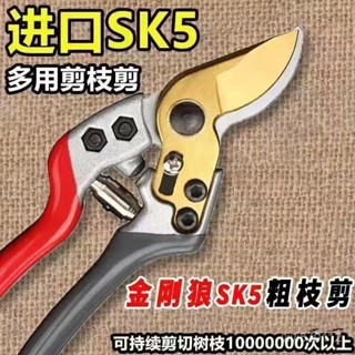 🔥臺灣出貨-熱賣中🔥日本SK5 滑輪多功能園藝剪刀 修枝剪 果枝剪 園藝剪 樹剪 花剪 高枝剪 樹枝剪 花藝剪刀 園藝工
