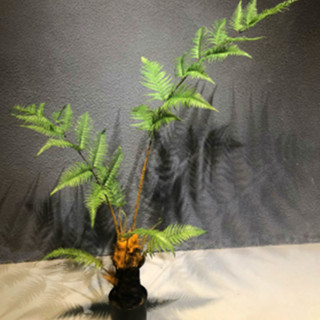 仿真植物 模擬金絲猴頭蕨 客廳室內外模擬蕨類 植物盆栽 模擬猴頭蕨