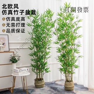 免運包稅 含發票 模擬竹子 落地假竹子 客廳新中式禪意綠植盆栽擺件 大型植物裝飾盆景 模擬綠植 加密綠植 裝飾假竹子