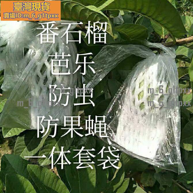 💯台灣出貨低價⚡️農用耐用水果泡沫網保護套袋番石榴套袋芭樂套袋有耳一體防蟲防果蠅套袋1287