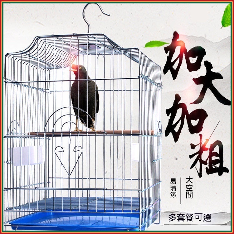 💕💕鳥籠白鐵 鸚鵡籠 鸚鵡鳥籠 鳥籠 鸚鵡籠子 玄鳳鳥籠加粗加大鍍鋅鳥籠子電鍍防銹養殖相思籠虎皮鸚鵡鷯哥八哥特大鳥籠 S