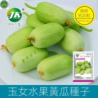 🌱玉女水果黃瓜種子迷你奶油拇指小黃瓜QQ甜脆無刺四季盆栽菜園蔬菜 種子 種籽【green園藝花坊】