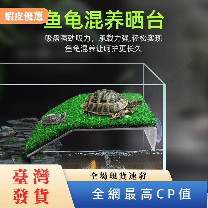 【桃園發貨】烏龜晒臺水龜晒臺草龜浮臺吸盤壁掛魚龜混養晒龜臺 烏龜 曬台 大號 烏龜曬背台 烏龜曬背 烏龜爬台 烏龜浮台