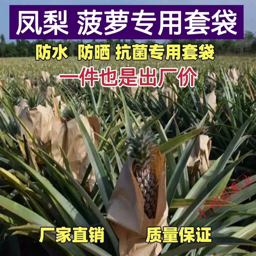 大促預熱雙十二ａｑ~鳳梨套袋專用袋防蟲袋菠蘿套旺梨套袋通用防雨防曬加厚透氣保護套