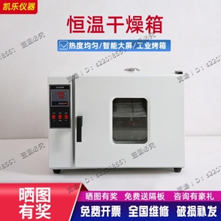 現貨/可開發票/電熱恆溫鼓風乾燥箱實驗室工業用小型高溫烘箱真空老化烘乾機烤箱