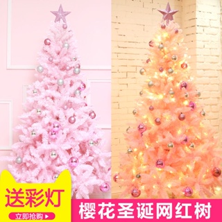 現貨 圣誕樹套餐家用粉色1.5米1.8米LED彩燈擺件小ins網紅禮物diy裝飾 耶誕節耶誕裝