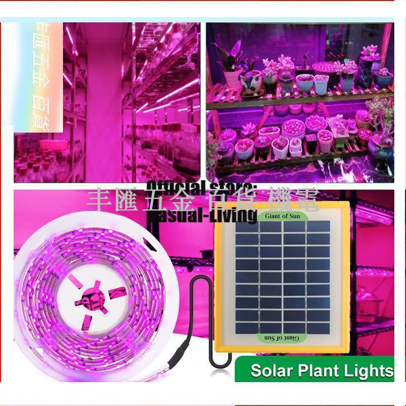 Led 20W 太陽能電池板生長燈全光譜 5V 生長燈條 2835 LED 植物燈, 用於植物溫室育