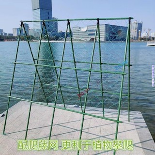 黃瓜爬藤架子種菜專用架子豆角爬藤架蔬菜瓜果葡萄架包塑鋼管搭架 黃瓜爬藤架子 豆角爬藤架 葡萄架包塑鋼管搭架 黃瓜爬藤架子