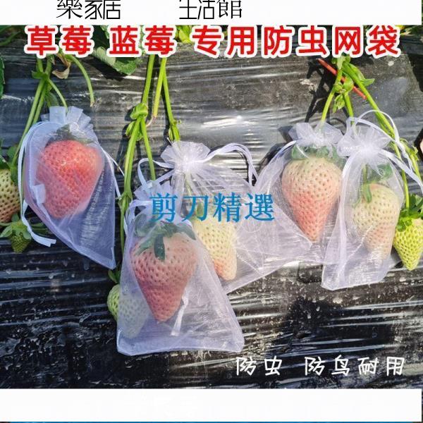 草莓防蟲網紗套袋水果保護袋防鳥網袋桃子無花果葡萄透氣紗袋網袋 樂家居424