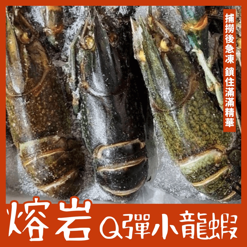 【潮鮮世代】淡水小龍蝦/熔岩小龍蝦/800克/8-10大尾