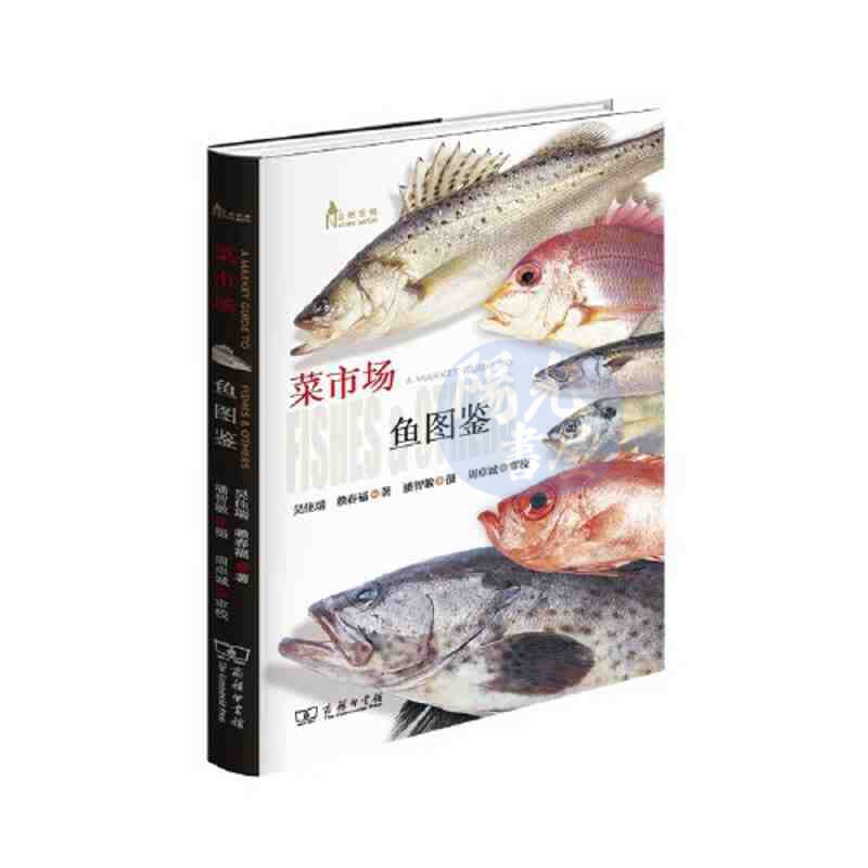 【陽光書屋】簡體 菜市場魚圖鑑 自然觀察叢書