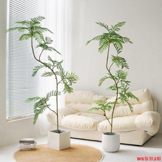 【免運】模擬藍花楹綠植落地盆栽仿生植物擺件室內客廳沙發旁裝飾盆景假樹WS傢俱館2店