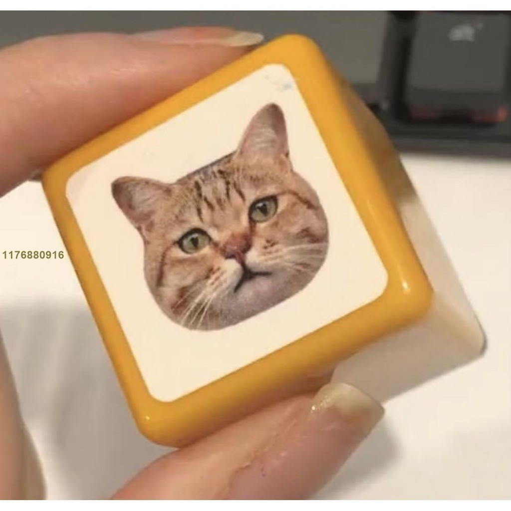 寵物客製化 寵物頭像印章 來圖訂製 貓狗 貓頭印 貓咪印章 寵物紀念品 訂製 表情印章定制 寵物印章 [真的aghg]