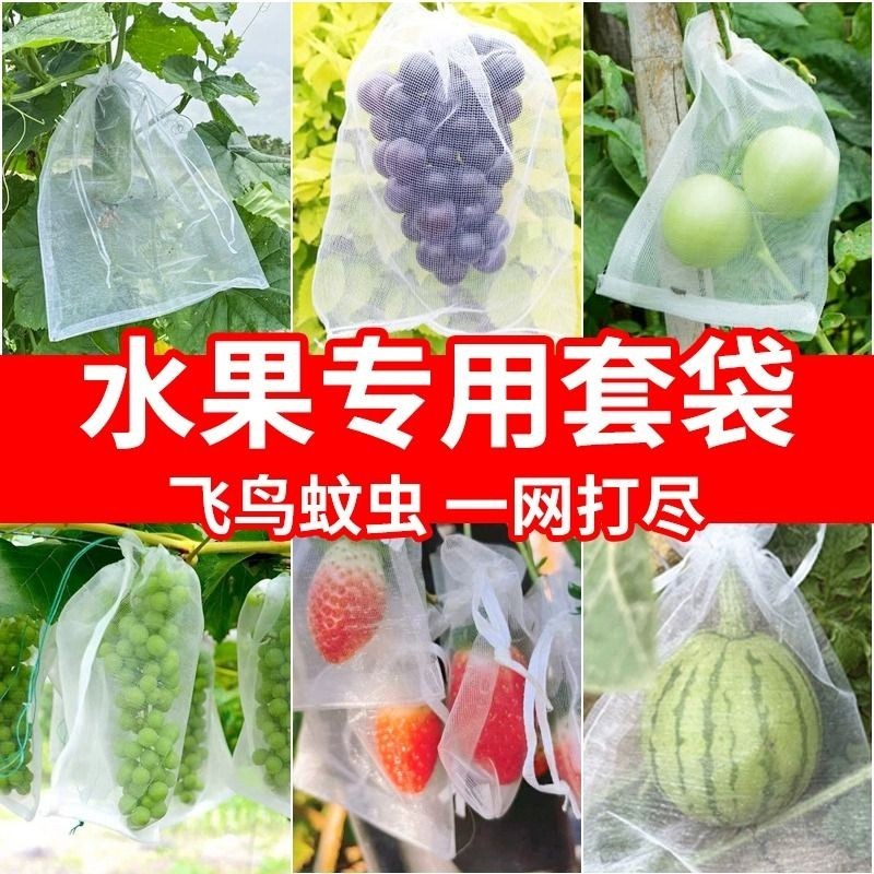 尼龍網袋葡萄套袋專用袋子防鳥網防蟲水果防蟲網袋草莓無花果透氣7HRJ