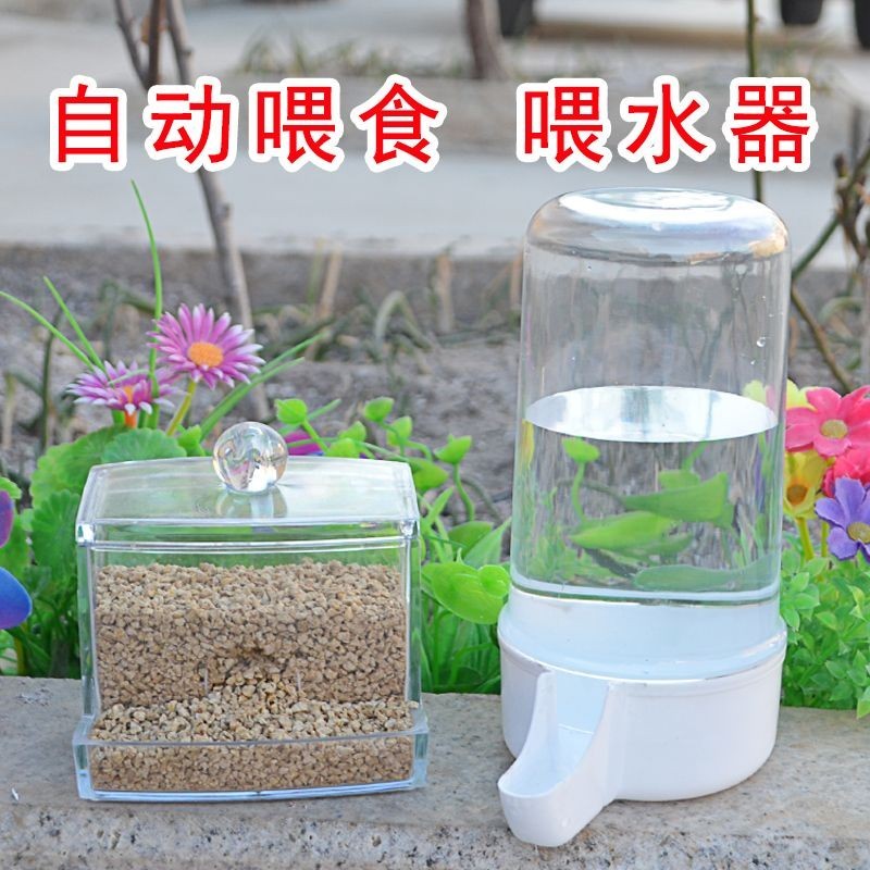 🔥臺灣優選 蘆丁鷄餵食器餵水器飼料盒小鷄食盒鸚鵡水壺自動鳥用鵪鶉飲水用品