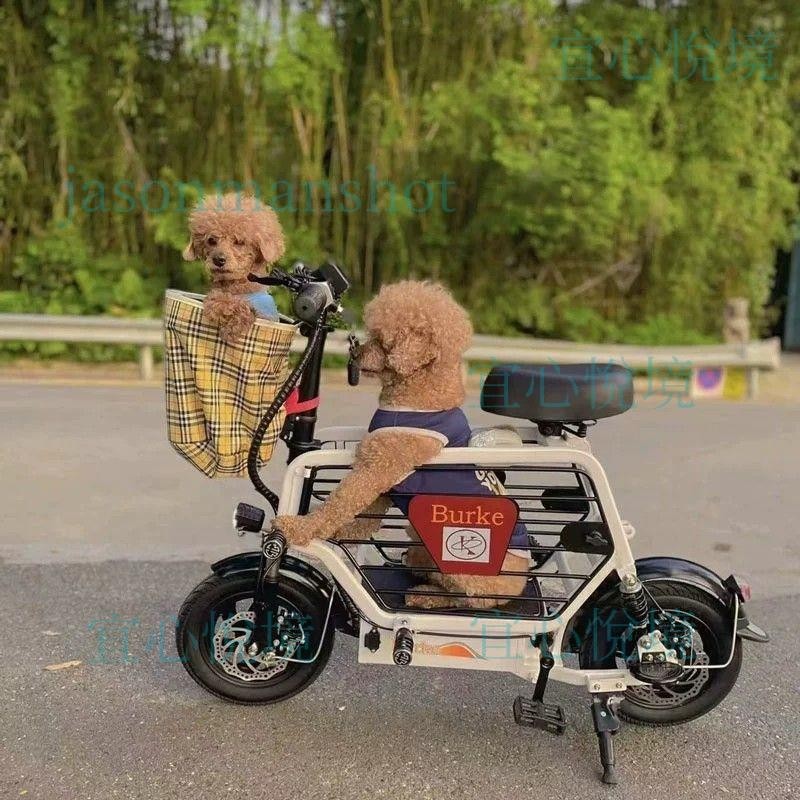 「免開發票」柏克小型電動車女親子款帶娃接送孩子鋰電折疊電瓶車新國標寵物車