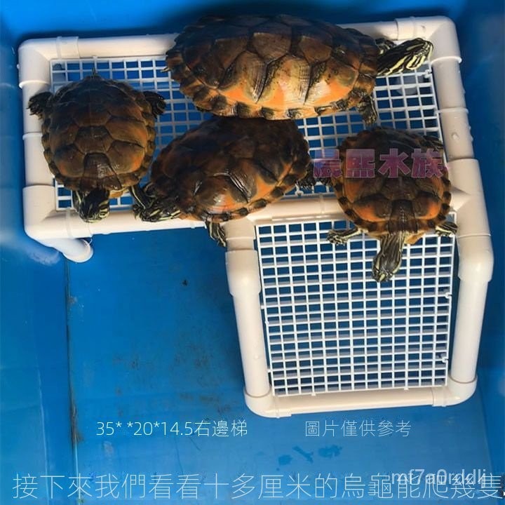 烏龜曬臺diy烏龜曬臺龜缸浮島曬背臺巴西龜草龜曬背臺自製爬坡臺