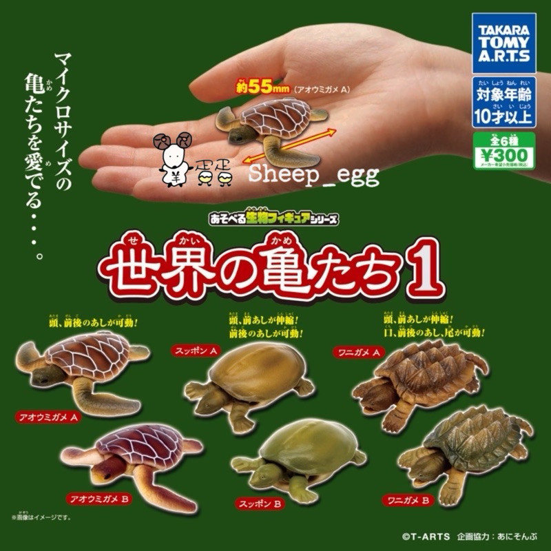 『現貨』羊蛋蛋 轉蛋 扭蛋 日版 T-ARTS 超可動生物 世界上的烏龜 烏龜 海龜 造型 公仔
