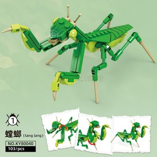 June生活館相容樂高昆蟲積木系列蜻蜓螳螂模型益智拼裝玩具兒童生日禮物6+