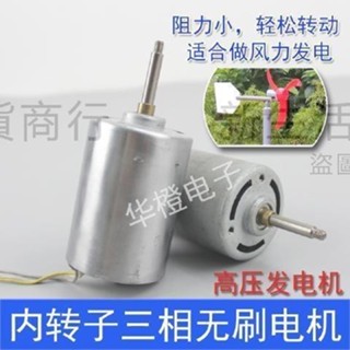 220v微型直流無刷發電機馬達內轉子DIY小型高壓發電機家用
