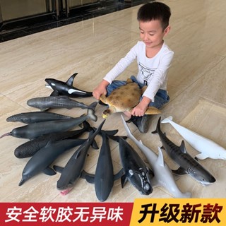 臺灣出貨︱超大號 軟膠 模擬 海洋動物 海洋生物 模型 玩具 兒童認知教學玩具 虎鯨大白鯊魚鯨魚海豚